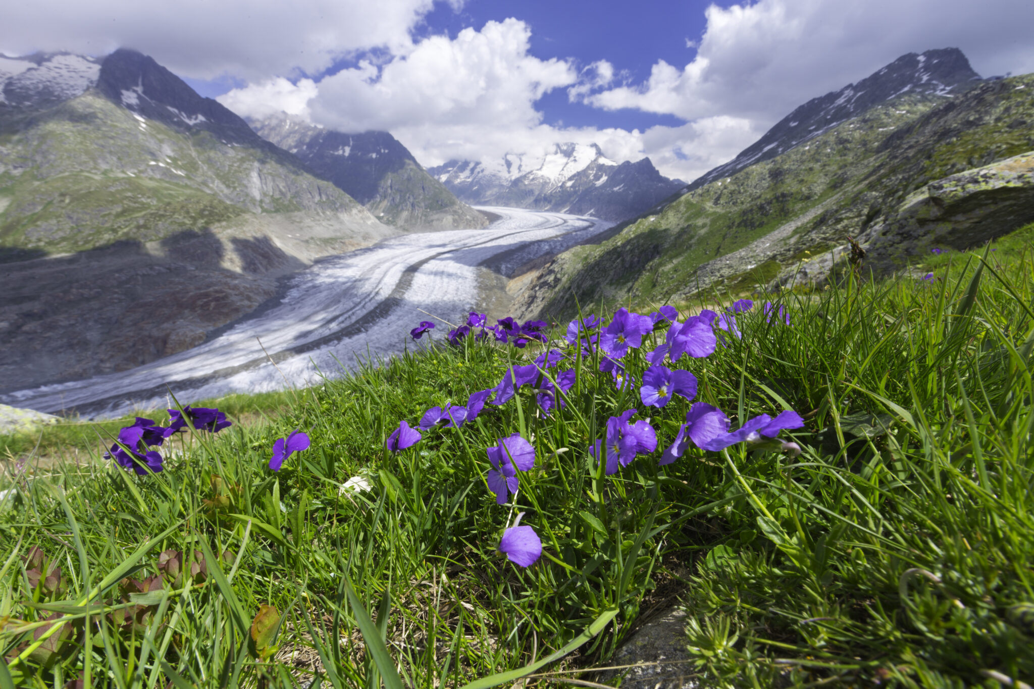 オデーサの歴史地区 世界遺産を学ぶ