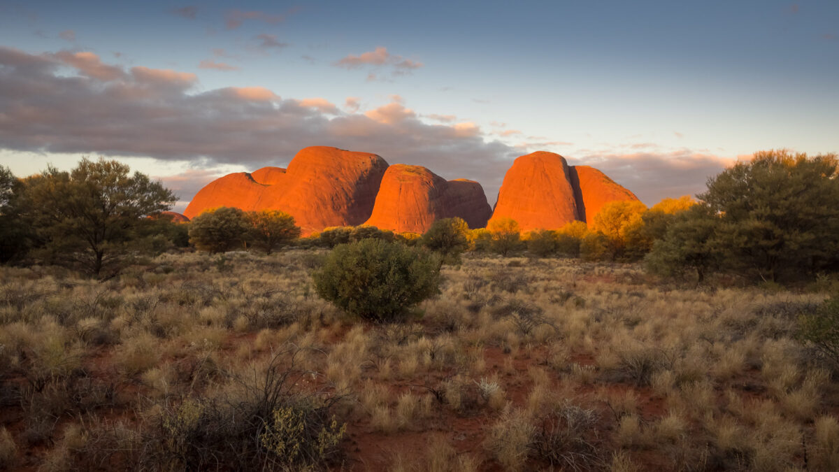 ウルル、カタ・ジュタ国立公園 世界遺産を学ぶ