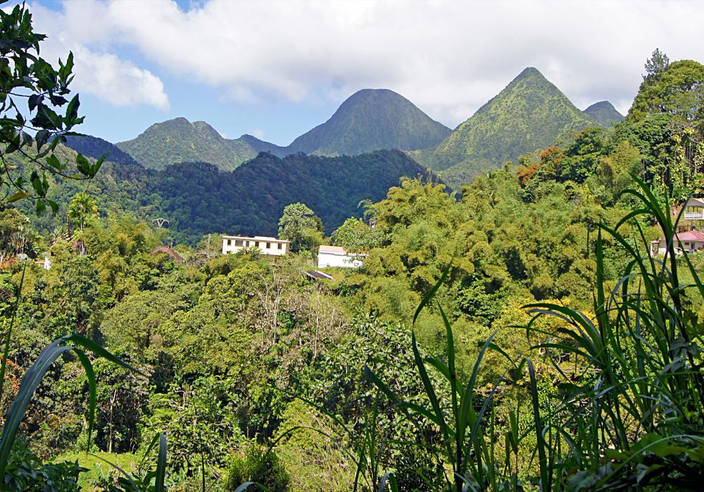 プレ山及びマルティニーク島北部の峻峰群の火山と森林