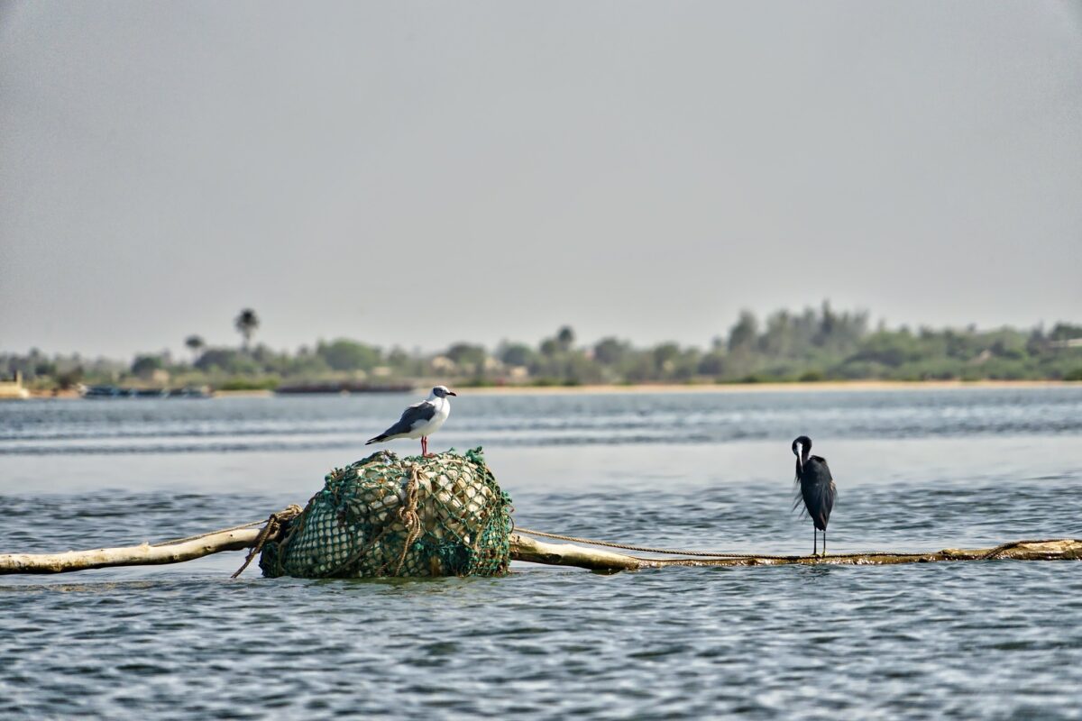 サムール・デルタ 世界遺産を学ぶ